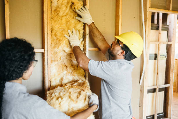 Best Wall Insulation Installation  in Rockford, MN